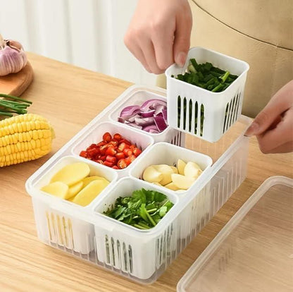 Freezer Storage Container